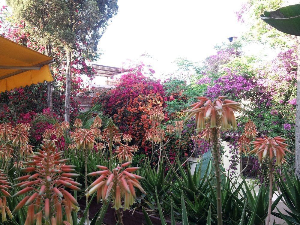 מרקש Riad Malika מראה חיצוני תמונה
