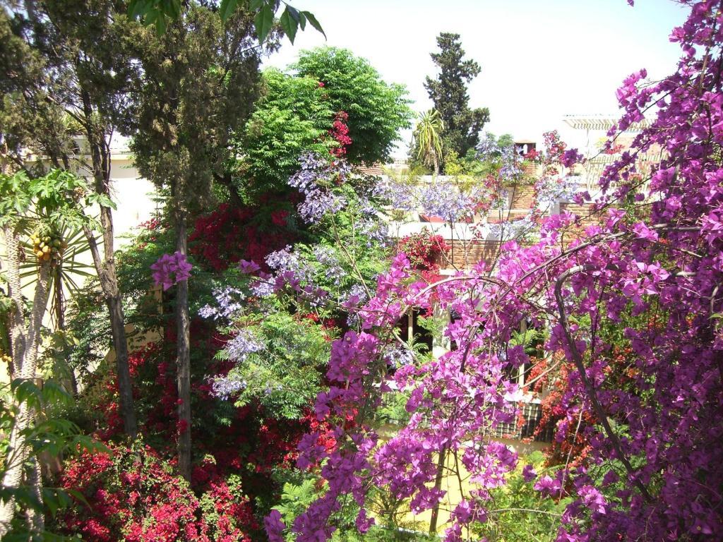 מרקש Riad Malika מראה חיצוני תמונה